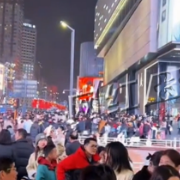 视频丨长沙春节人气爆棚 年味人气“马”上到位