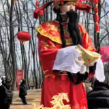 视频丨摸鱼、套圈、打酱油……长沙兴马洲年味拉满