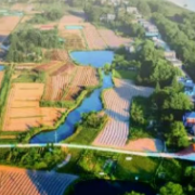 万元奖金！长沙兴马洲向全国发出设计邀约→