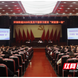 洋湖街道启动“能力提升年”行动 以实战实训推动基层治理提质增效