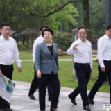 吴桂英调研“馆园融合”工作