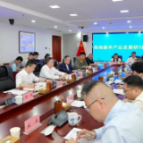 灰汤高端康养产业发展研讨会召开