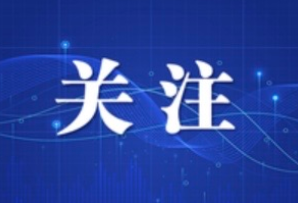 2026年城区“小升初”微机派位实操指南来了！