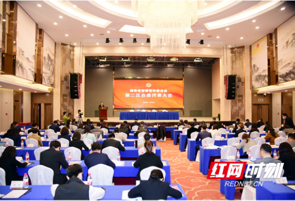 A congress of the Youth Committee of Hunan Overseas Chinese Federation was held