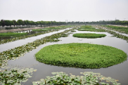 Datong Lake in central China