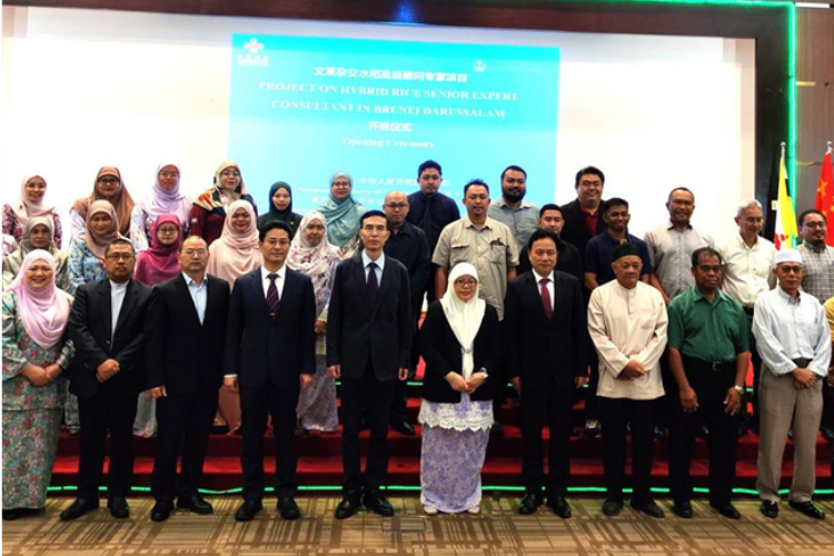 China, Brunei Enhance Cooperation in Hybrid Rice Technology