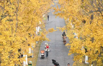 Colorful Scenery of Xiangfu Cultural Park