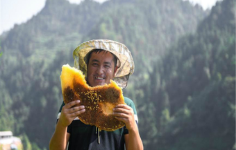 Beekeeping has village buzzing