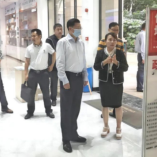 省住建厅调研株洲文家冲智慧城市（社区）试点项目