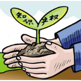 国家知识产权局：2023年发明专利审查周期压减到16个月