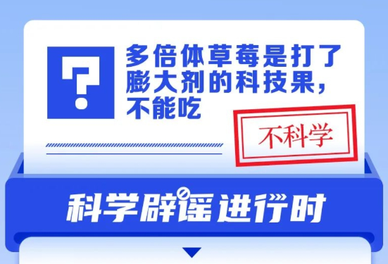 多倍体草莓是打了膨大剂的科技果，不能吃？