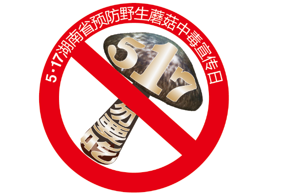 野生蘑菇中毒防控最合算的十大措施