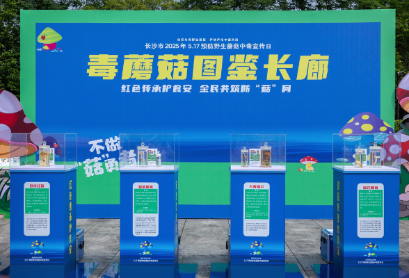 517，勿要吃！长沙开展预防野生蘑菇中毒宣传活动