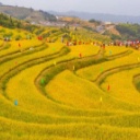 国庆7天怎么玩？怀化一大波文旅活动新鲜出炉，总有一个适合你！