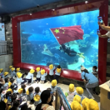 “美人鱼”来助阵 长沙海底世界“海洋狂欢节”邀你欢度国庆