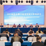 凝气聚力共谋未来 新化召开数商发展工作座谈会