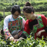 以文彰旅 湖南财政经济学院赴吕洞山开展社会实践活动