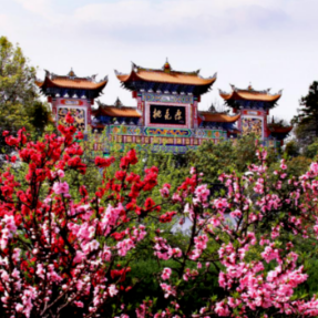 观潮的螃蟹丨常德桃花源：“世外桃源”的期待与现实表达