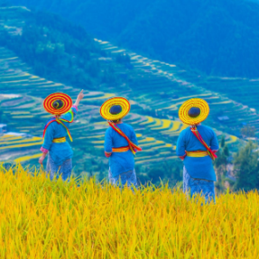 陈黎明：将雪峰山自然风光和风土人情转化为旅游业的持久魅力