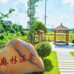 打造森林温泉国际社区 长沙县发布麻林温泉勘探新成果