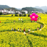 逛花海、打糍粑 崀山旅文集团开展系列主题活动迎“三八”妇女节  