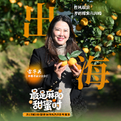 最是麻阳甜蜜时③丨雷华英：“橙”风破浪，开辟甜蜜出海路