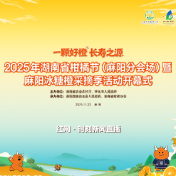 直播预告 | “橙”邀你来!直击麻阳冰糖橙采摘季开幕现场