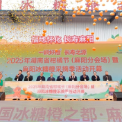 “一颗好橙”香飘世界 2025年麻阳冰糖橙采摘季甜蜜启幕