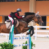 国家级青少年马术赛事首度落户湖南 U系列赛为全运会蓄力