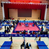 第八届“桃花江杯”乒乓球混合团体赛桃江落幕 近700名选手参赛