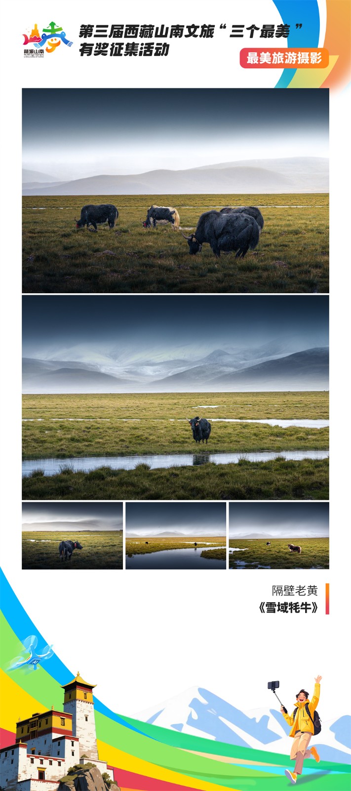 最美摄影4-5隔壁老黄《雪域牦牛》.jpg