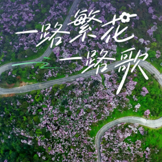 音乐海报丨歌行双牌：行过三千里花路