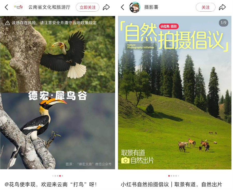 图片 4.png