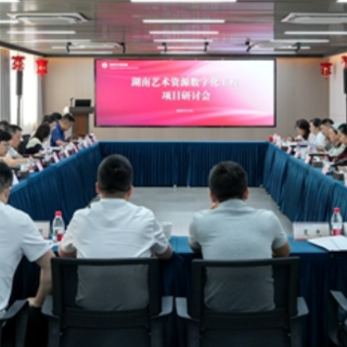 助力文化强省建设 专家研讨“湖南艺术资源数字化工程”项目