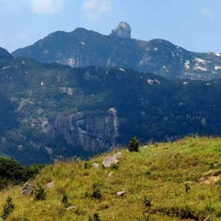 湖南旅游资源新发现丨永州蓝山湘江源发现大面积苔藓群落