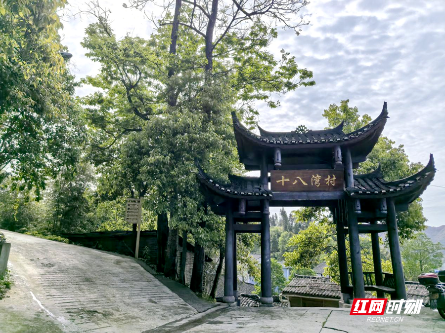 图片2_副本.png