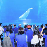 2025百家媒体海南行三亚旅游推介活动启动