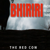 光影中非丨《还愿仪式 BHIRIRI：The Red Cow》（2020）
