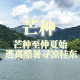二十四节气·芒种丨芒种至仲夏始 逃离酷暑寻凉桂东