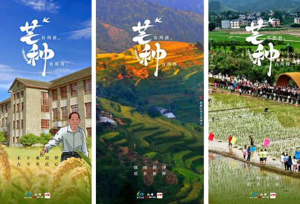 今日芒种丨“芒”有所获，“种”有所得