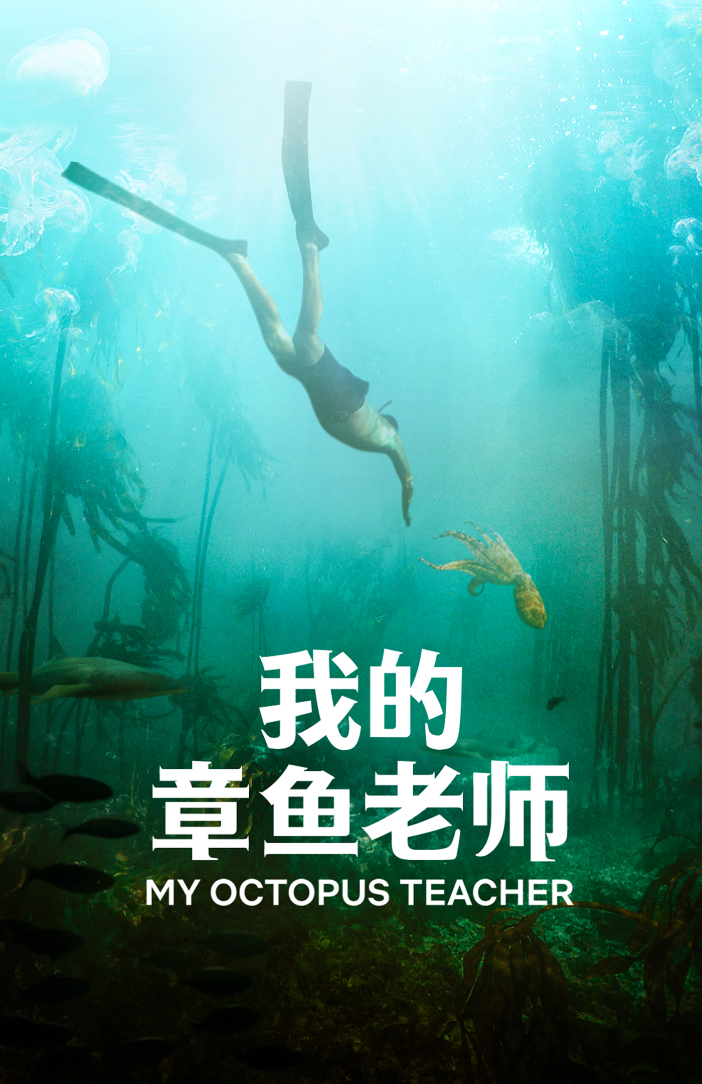 我的章鱼老师.jpg