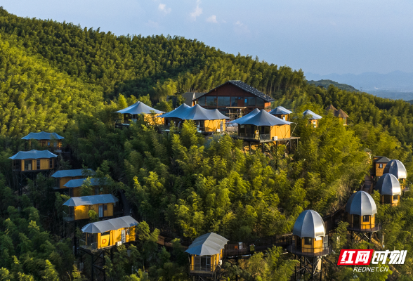 避暑康养到湖南⑨丨益阳桃花江竹海：漫步竹林仙境 开启夏日“竹”梦之旅