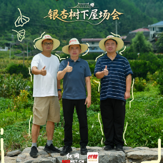 银杏树下屋场会③丨“红绿”生金时，是草帽下的春天
