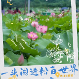 夏至｜怀化夏日“开箱” 5个清凉玩法承包这个盛夏
