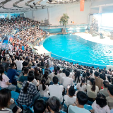 免票、半价！9月，长沙海底世界将推出多项优惠活动