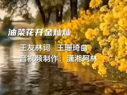 随笔丨王友林：歌曲《油菜花开金灿灿》创作札记