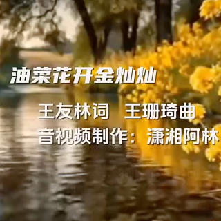 随笔丨王友林：歌曲《油菜花开金灿灿》创作札记
