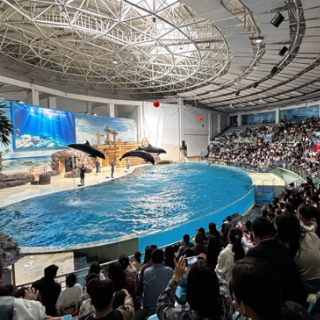 清明假期踏青 在长沙海底世界解锁“海洋闲修”新趣