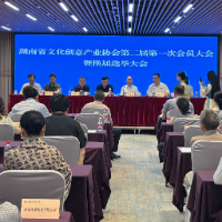 湖南省文化创意产业协会完成换届 王毅当选新一届会长