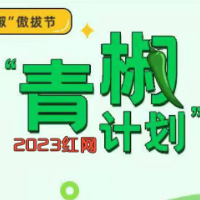 佳作赏析｜从“青椒计划”1月佳作，体验新闻评论的选题魅力